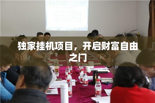 独家挂机项目,开启财富自由之门