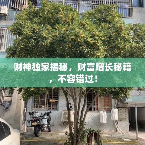 财神独家揭秘,财富增长秘籍,不容错过!