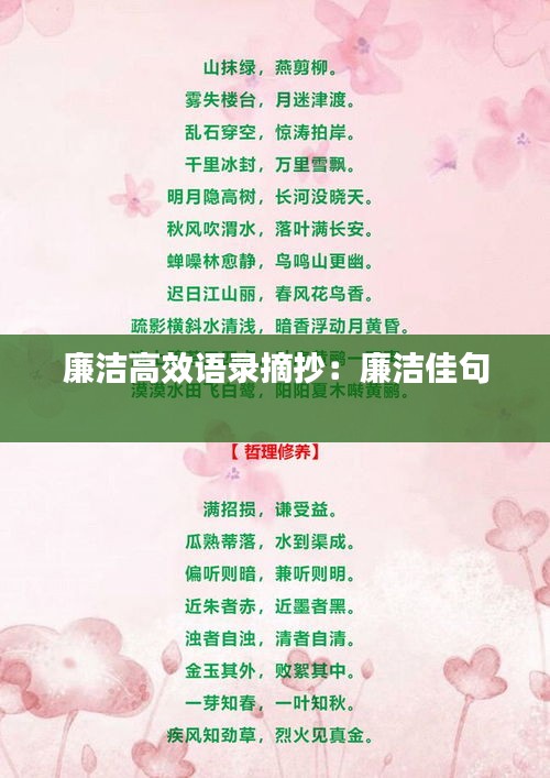廉洁高效语录摘抄:廉洁佳句