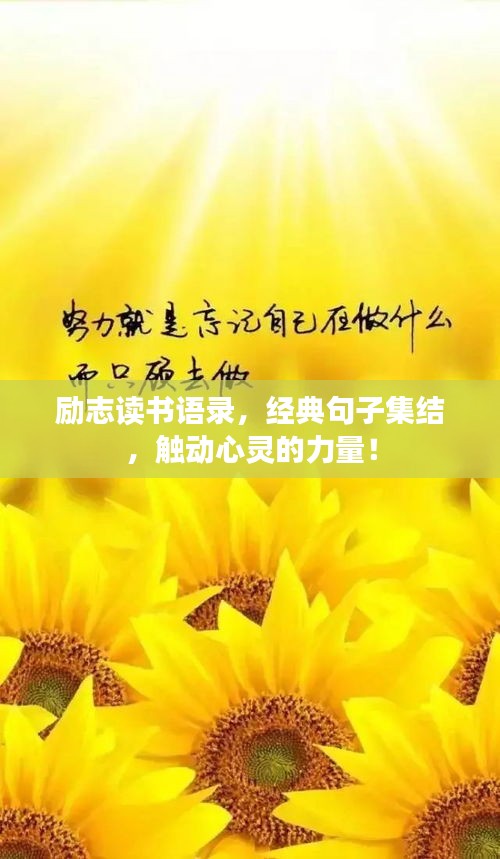 励志读书语录,经典句子集结,触动心灵的力量!