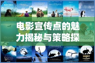 电影宣传点的魅力揭秘与策略探讨