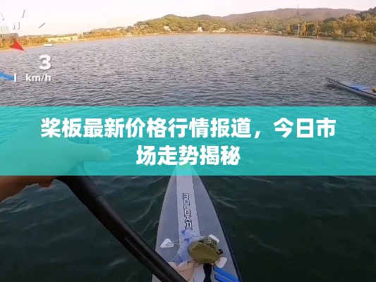 桨板最新价格行情报道,今日市场走势揭秘