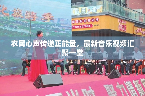 农民心声传递正能量,最新音乐视频汇聚一堂