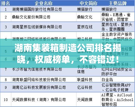 湖南集装箱制造公司排名揭晓,权威榜单,不容错过!