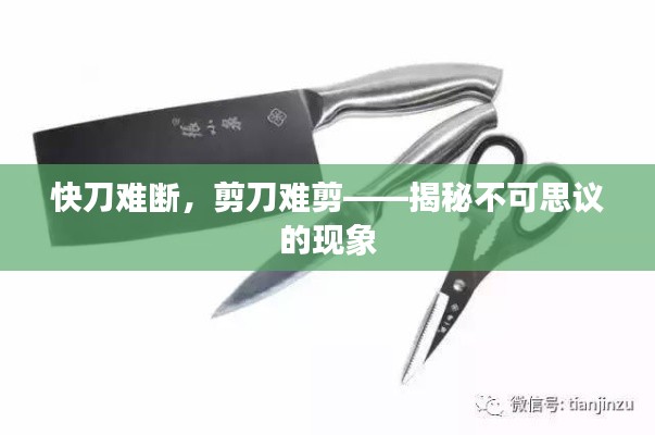飞龙在天 第3页