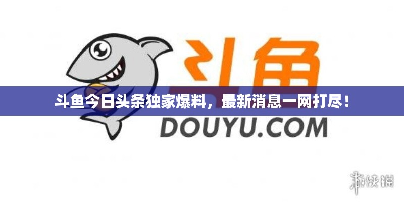 斗鱼今日头条独家爆料,最新消息一网打尽!