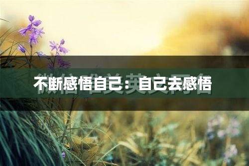 不断感悟自己:自己去感悟
