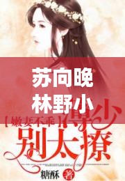 苏向晚林野小说独家侵占: