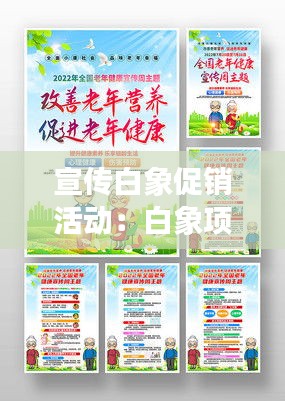 宣传白象促销活动:白象项目