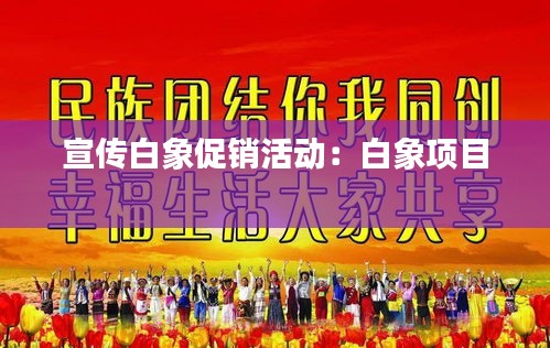 宣传白象促销活动:白象项目