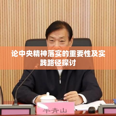 论中央精神落实的重要性及实践路径探讨