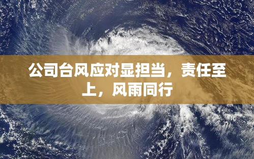 公司台风应对显担当,责任至上,风雨同行