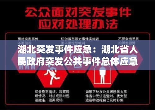 湖北突发事件应急:湖北省人民政府突发公共事件总体应急预案