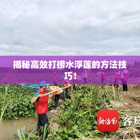 揭秘高效打捞水浮莲的方法技巧!