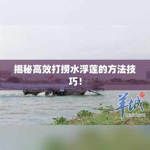 揭秘高效打捞水浮莲的方法技巧!