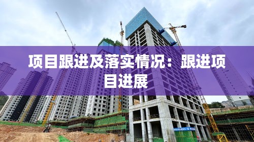 项目跟进及落实情况:跟进项目进展