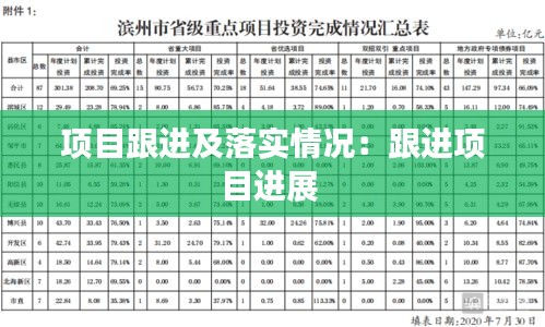 项目跟进及落实情况:跟进项目进展