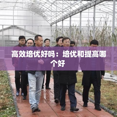 高效培优好吗:培优和提高哪个好