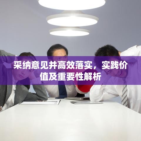 采纳意见并高效落实,实践价值及重要性解析