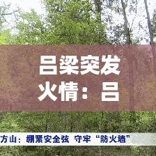 吕梁突发火情:吕梁发生命案 嫌疑人已被抓获