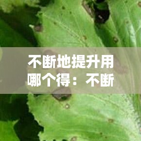 不断地提升用哪个得:不断地提高还是不断的提高