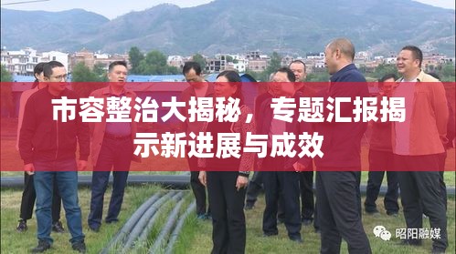 市容整治大揭秘,专题汇报揭示新进展与成效