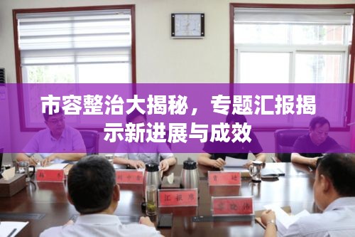 市容整治大揭秘,专题汇报揭示新进展与成效