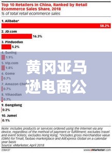 黄冈亚马逊电商公司排名及影响力揭秘