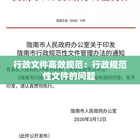 行政文件高效规范:行政规范性文件的问题