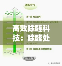 高效除醛科技:除醛处理是什么原理