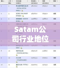 Satam公司行业地位卓越,排名揭晓!