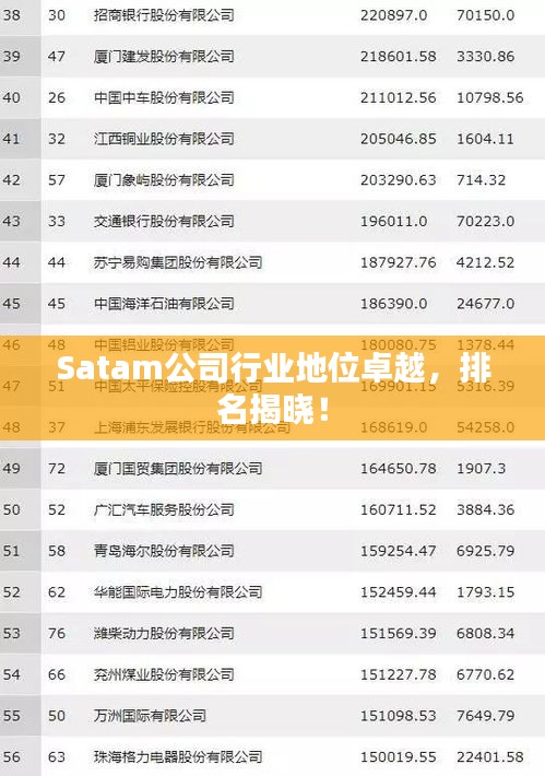 Satam公司行业地位卓越,排名揭晓!