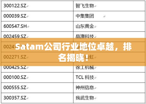 Satam公司行业地位卓越,排名揭晓!