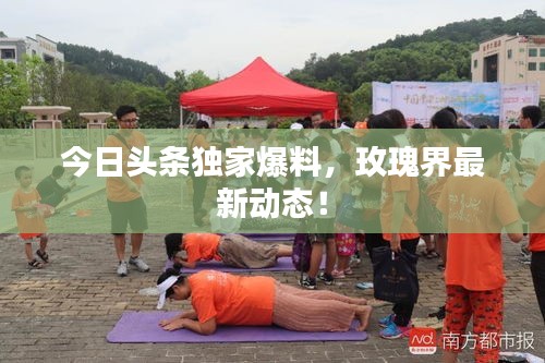 今日头条独家爆料,玫瑰界最新动态!