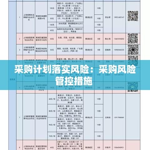 采购计划落实风险:采购风险管控措施