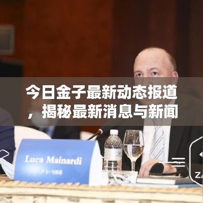 今日金子最新动态报道,揭秘最新消息与新闻热点