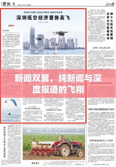 新闻双翼,纯新闻与深度报道的飞翔