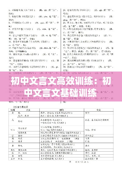 初中文言文高效训练:初中文言文基础训练