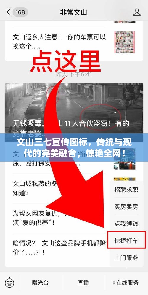 文山三七宣传图标,传统与现代的完美融合,惊艳全网!