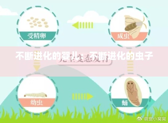 不断进化的婴儿:不断进化的虫子