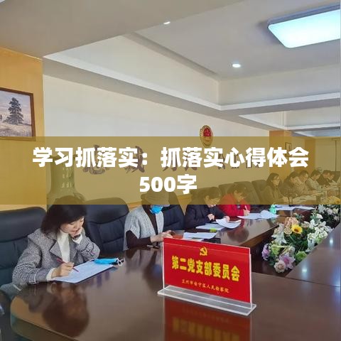 学习抓落实:抓落实心得体会500字