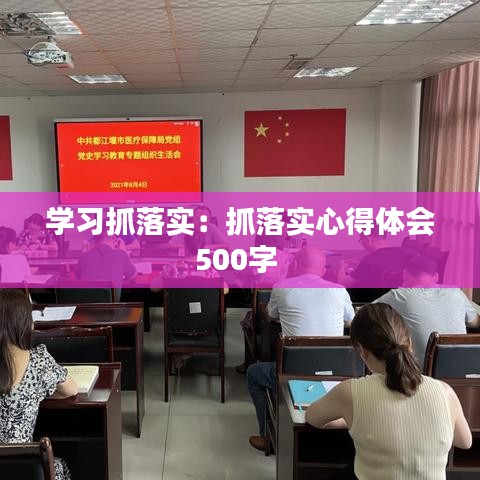 学习抓落实:抓落实心得体会500字