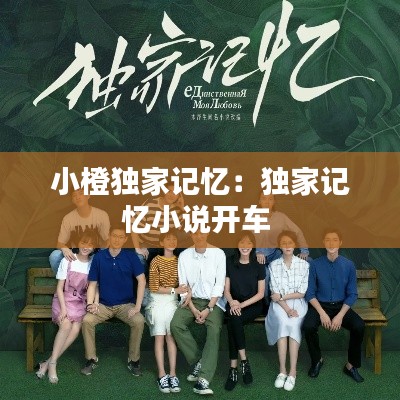 小橙独家记忆:独家记忆小说开车