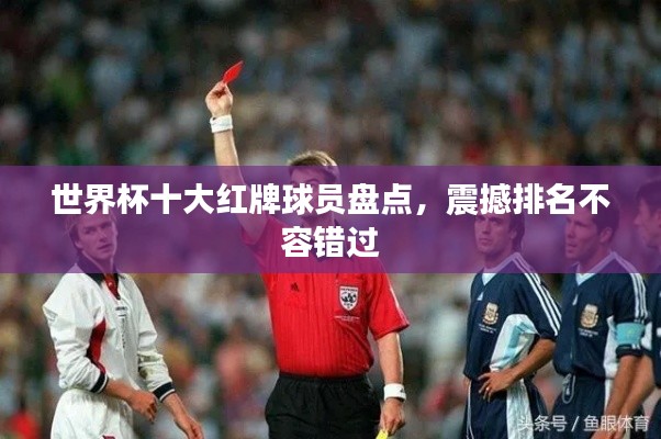 忠心耿耿 第4页