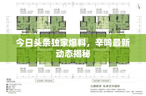 今日头条独家爆料,辛鸣最新动态揭秘