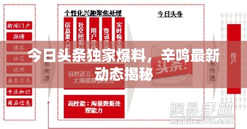 今日头条独家爆料,辛鸣最新动态揭秘