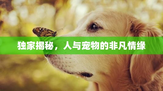 黑天摸地 第4页