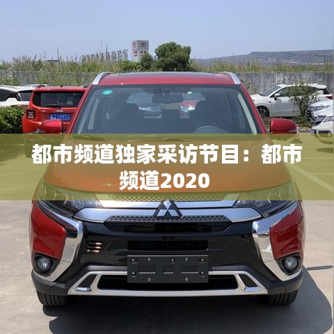 都市频道独家采访节目:都市频道2020