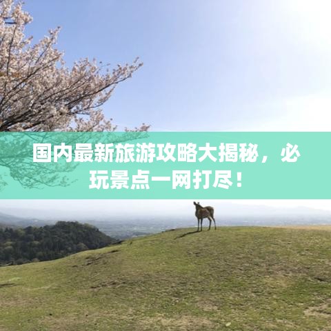 国内最新旅游攻略大揭秘,必玩景点一网打尽!