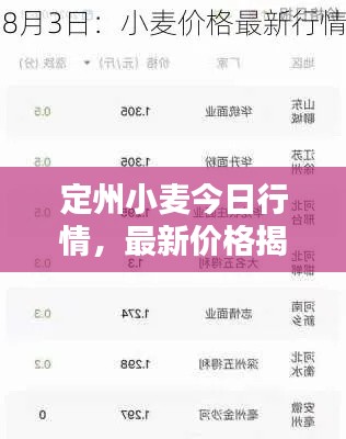 定州小麦今日行情,最新价格揭秘!